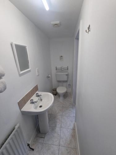 a white bathroom with a toilet and a sink at Ben View Phoenix Hotel in Strontian