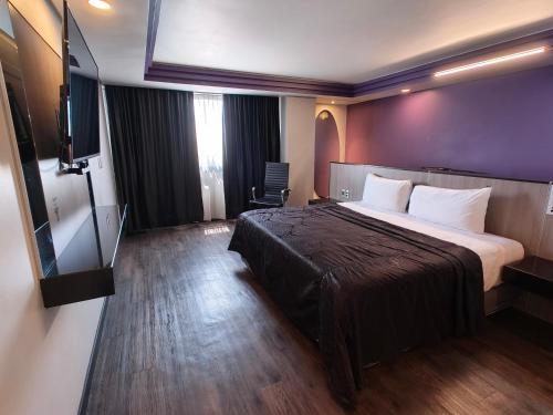 um quarto de hotel com uma cama grande e uma televisão de ecrã plano em Hotel Max em Cidade do México