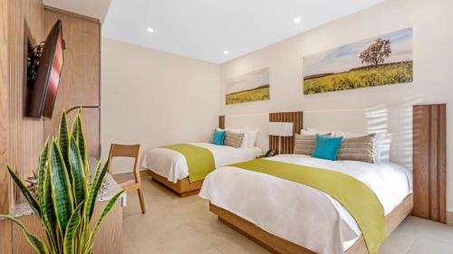 a bedroom with two beds and a potted plant at Voyage Vacation Club in Rosarito