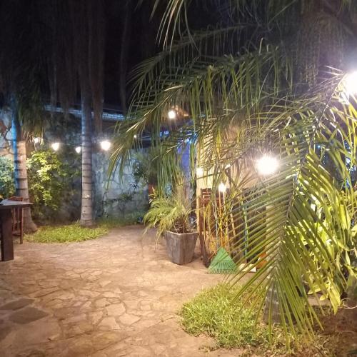 a patio at night with palm trees and lights at Cabaña Las Palmeras in San Bernardino