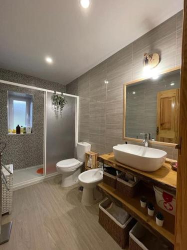 ein Badezimmer mit einem Waschbecken, einem WC und einem Spiegel in der Unterkunft Casa da Bivó in Figueiró dos Vinhos