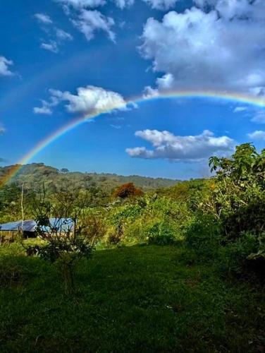 a rainbow in the sky over a green field at Casa Típica La Cruz in Monteverde Costa Rica