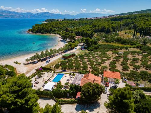 Seaside luxury villa with a swimming pool Mirca, Brac - 16183