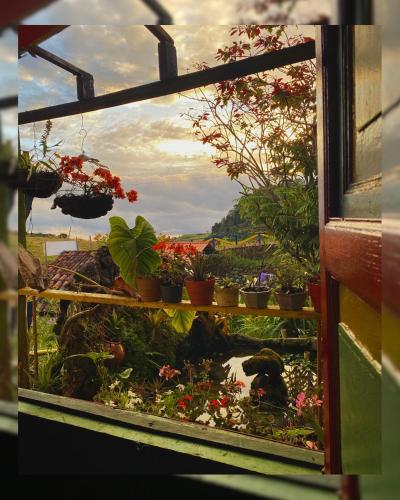 Zahrada ubytování Hostal Camino Viejo