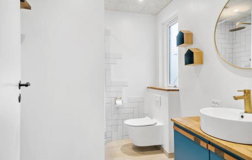 a bathroom with a sink and a toilet and a mirror at Lovely Home In Skjern With Sauna in Skjern