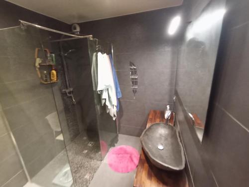 e bagno con servizi igienici, doccia e tappeto rosa. di Chambre Calme meublé proche aéroport rocade a Pessac