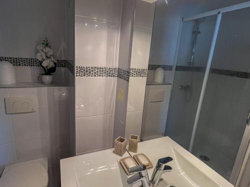 une salle de bain avec un lavabo, une douche et des toilettes dans l'établissement Duplex convivial à Saint-Cyprien - 4 couchages - Plage & commerces à pied - FR-1-753-16, à Saint-Cyprien