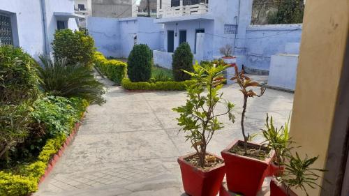 a courtyard with two potted plants on a sidewalk at Karunanidhan Homestays in Ayodhya
