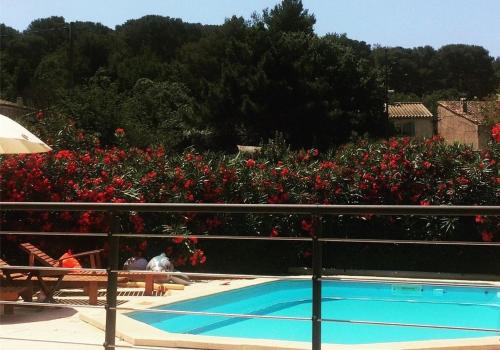 a swimming pool with red flowers in a garden at Villa Melbemar in Six-Fours-les-Plages