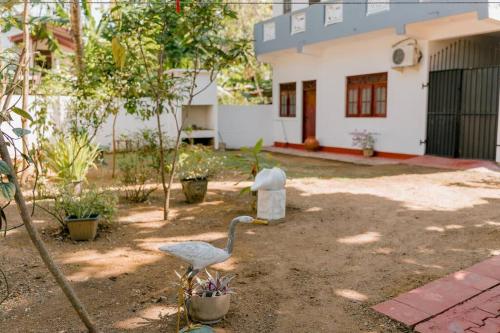 dos cisnes en un patio delante de una casa en Lihini Villa ii en Matara