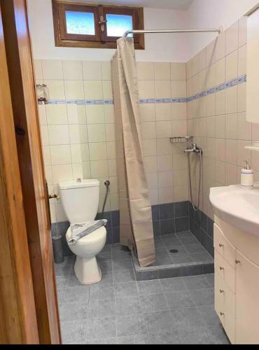 a bathroom with a toilet and a sink at Port Sea View in Skiathos