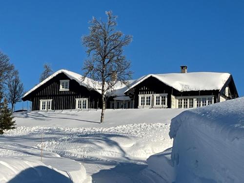 a house covered in snow with a tree in front at Luxembu - 4 bedroom cabin with a fantastic view in Gol