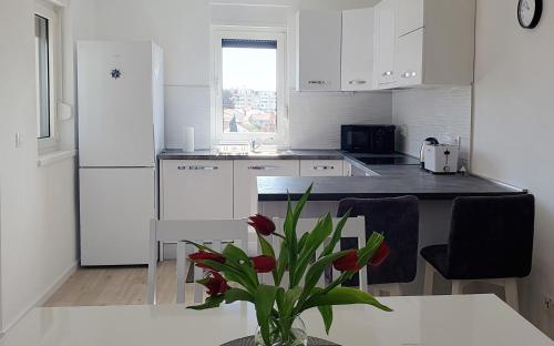 Apartment Dino, Zadar