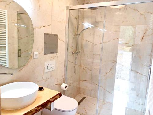 a bathroom with a shower and a toilet and a sink at Paseky Apartments Resort in Nové Město na Moravě