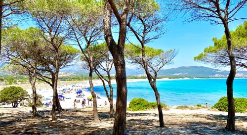 um grupo de pessoas em uma praia com o oceano em Villetta a Tanaunella em Tanaunella