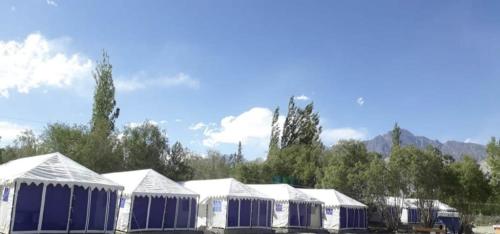 a row of blue and white tents in a field at Northern Valley Camp - Nubra in Hundar