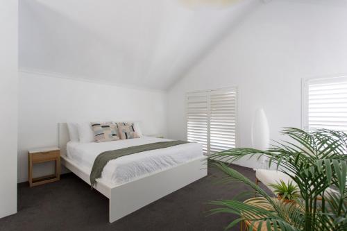 Hamilton HillにあるSerenity - Townhouse Close to South Fremantleの白いベッドルーム(ベッド1台、窓2つ付)