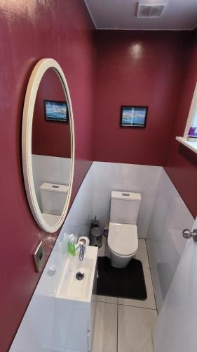 a bathroom with a white toilet and a mirror at City Centre Superior Villa 3 large Double bedrooms in Christchurch