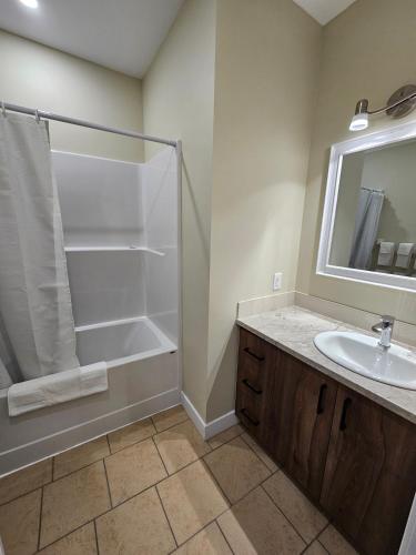 a bathroom with a shower and a sink at Cozy Maison Apt #3 in Gatineau