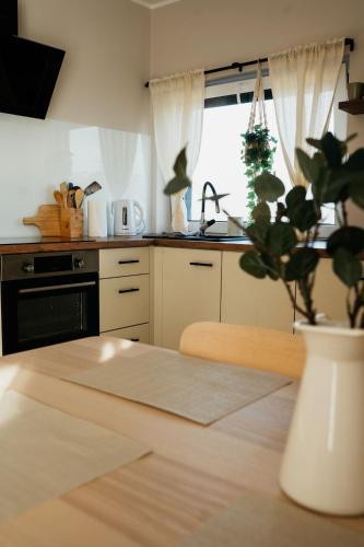 a kitchen with a table and a potted plant on a table at Apartament ACTIV jezioro góry in Żywiec