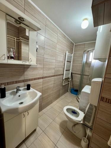a bathroom with a sink and a toilet at Apartman Nest in Kikinda