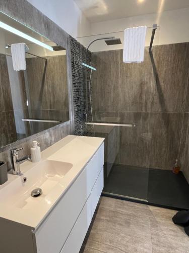 une salle de bain avec un lavabo et une douche dans l'établissement Magnifique Bergerie en Pierre, à Brando