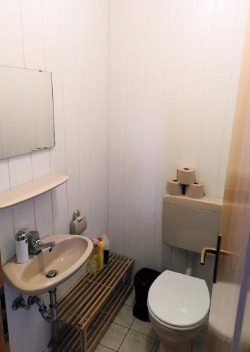 Bilik mandi di Bio-Hotel Zum Forsthaus