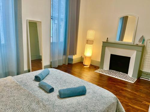 Cette chambre dispose d'une cheminée et de 2 oreillers bleus sur un lit. dans l'établissement Hôtel de Ville - au cœur du centre de Bourges 1 chambre, à Bourges