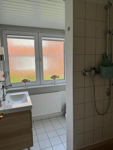 a bathroom with a shower and a sink and a window at Kleine Ella Pellworm in Pellworm