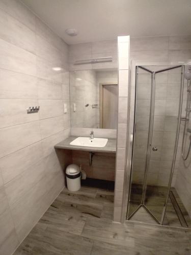 a bathroom with a sink and a glass shower at Ośrodek Wypoczynkowo-Leczniczy OPOLE w Dźwirzynie in Dźwirzyno
