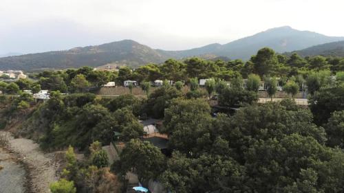 an aerial view of a forest of trees with mountains at Camping & Village Rais Gerbi in Pollina