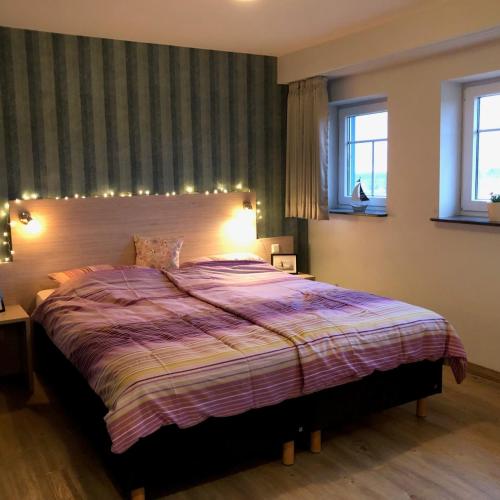 a bedroom with a large bed and two windows at Der Landhof Sonnenblume in Stolpe