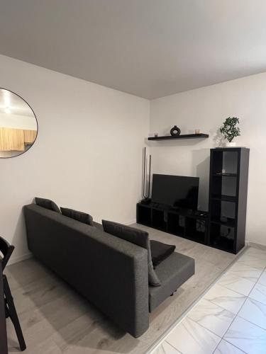 a living room with a couch and a television at Appartement Dammarie-les-Lys in Dammarie-lès-Lys