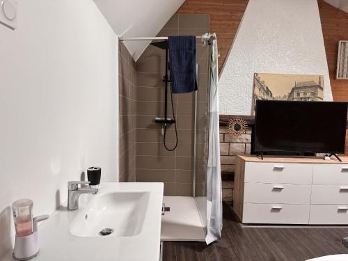 La salle de bains est pourvue d'une douche, d'un lavabo et d'une télévision. dans l'établissement L Agreable Suite Circuit Reve au Mans, à Écommoy