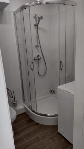 a bathroom with a shower and a toilet at Apartament Marszałkowska in Warsaw