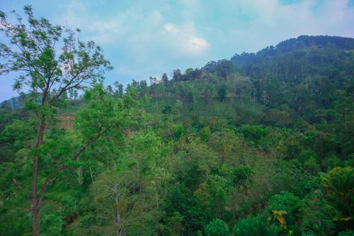 a view of a hill with trees on it at Ella Sriya Holiday Resort in Ella