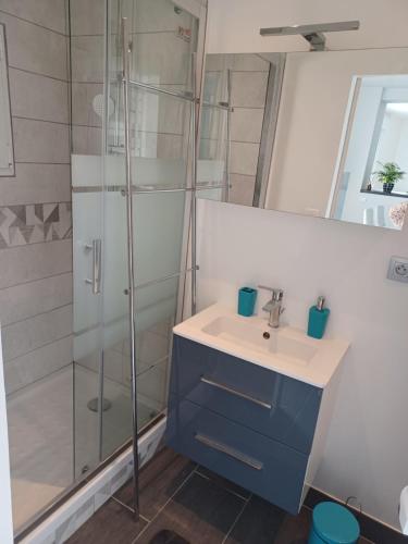 une salle de bain avec un lavabo et une douche dans l'établissement AU PARADIS DE BB, à Biéville-Beuville