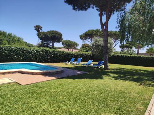 諾沃桑克蒂佩特里的住宿－Chalet Isla Sicilia，一个带2把躺椅和一棵树的游泳池