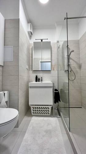 ein Bad mit einer Dusche, einem Waschbecken und einem WC in der Unterkunft Luxusný apartmán s parkovaním in Miloslavov