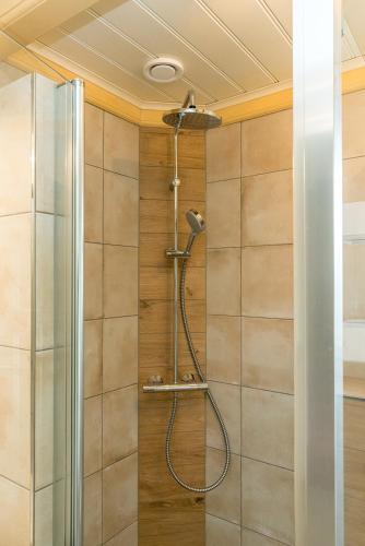 a shower with a shower head in a bathroom at Boerderijwoning De Florijn in Oosterend
