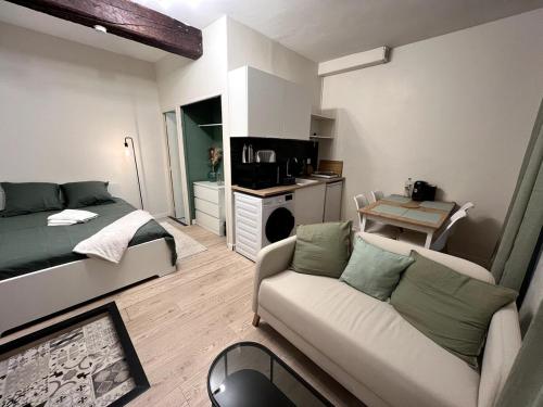 - un salon avec un lit et un canapé dans l'établissement Proche hyper centre & Gare SNCF, à Toulouse