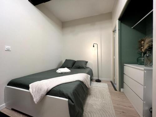 a bedroom with a bed with a green and white wall at Proche hyper centre & Gare SNCF in Toulouse
