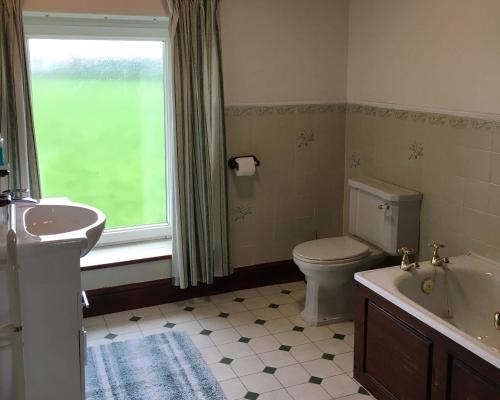 a bathroom with a toilet and a sink and a window at Brynonnen Nanternis in Llanllwchaiarn