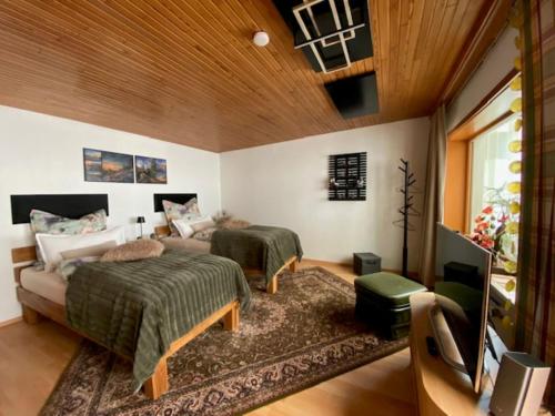 a bedroom with a bed and a couch and a tv at Ferienwohnung Fichtelnest in Zell im Fichtelgebirge