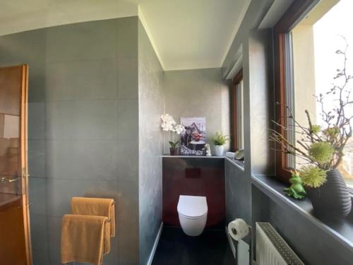 a bathroom with a toilet and a window at Ferienwohnung Fichtelnest in Zell im Fichtelgebirge