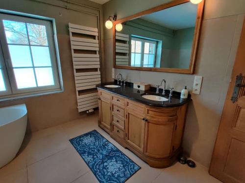 ein Badezimmer mit einem Waschbecken, einem Spiegel und einer Badewanne in der Unterkunft The Horst cottage in Holsbeek