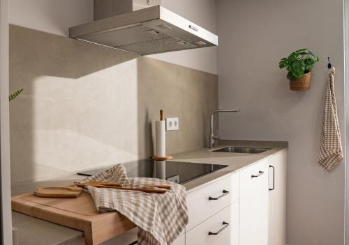 a kitchen with a sink and a stove at Casa Manolo in Luanco