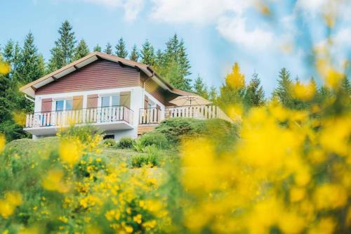 Chalet : Secteur Gérardmer.