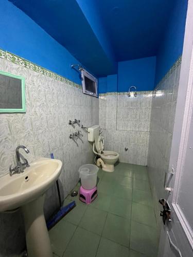 達蘭薩拉的住宿－Alora bhagsu，一间带水槽和卫生间的浴室