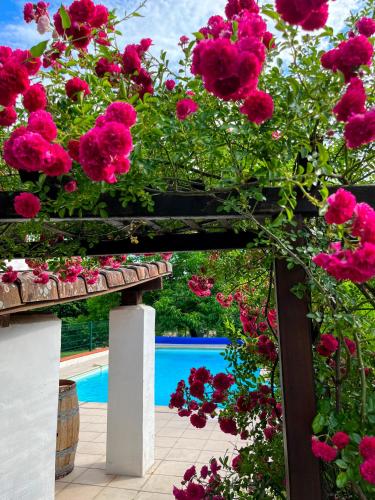 a garden with pink flowers and a swimming pool at "L'or et des Landes" - 6 personnes - 5 minutes centre équestre et 10 minutes de Nérac in Barbaste